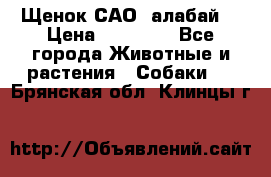 Щенок САО (алабай) › Цена ­ 10 000 - Все города Животные и растения » Собаки   . Брянская обл.,Клинцы г.